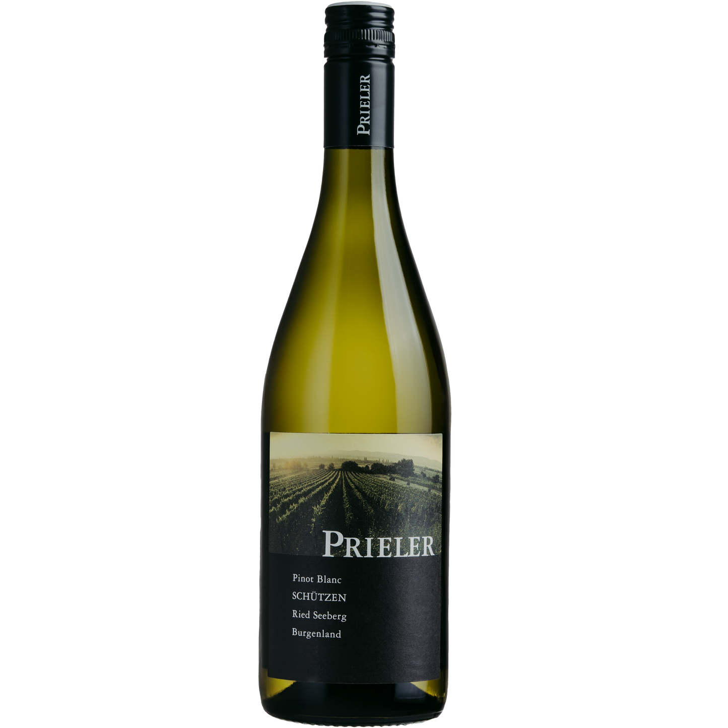 Pinot Blanc SCHÜTZEN, Ried Seeberg 2024 BIO