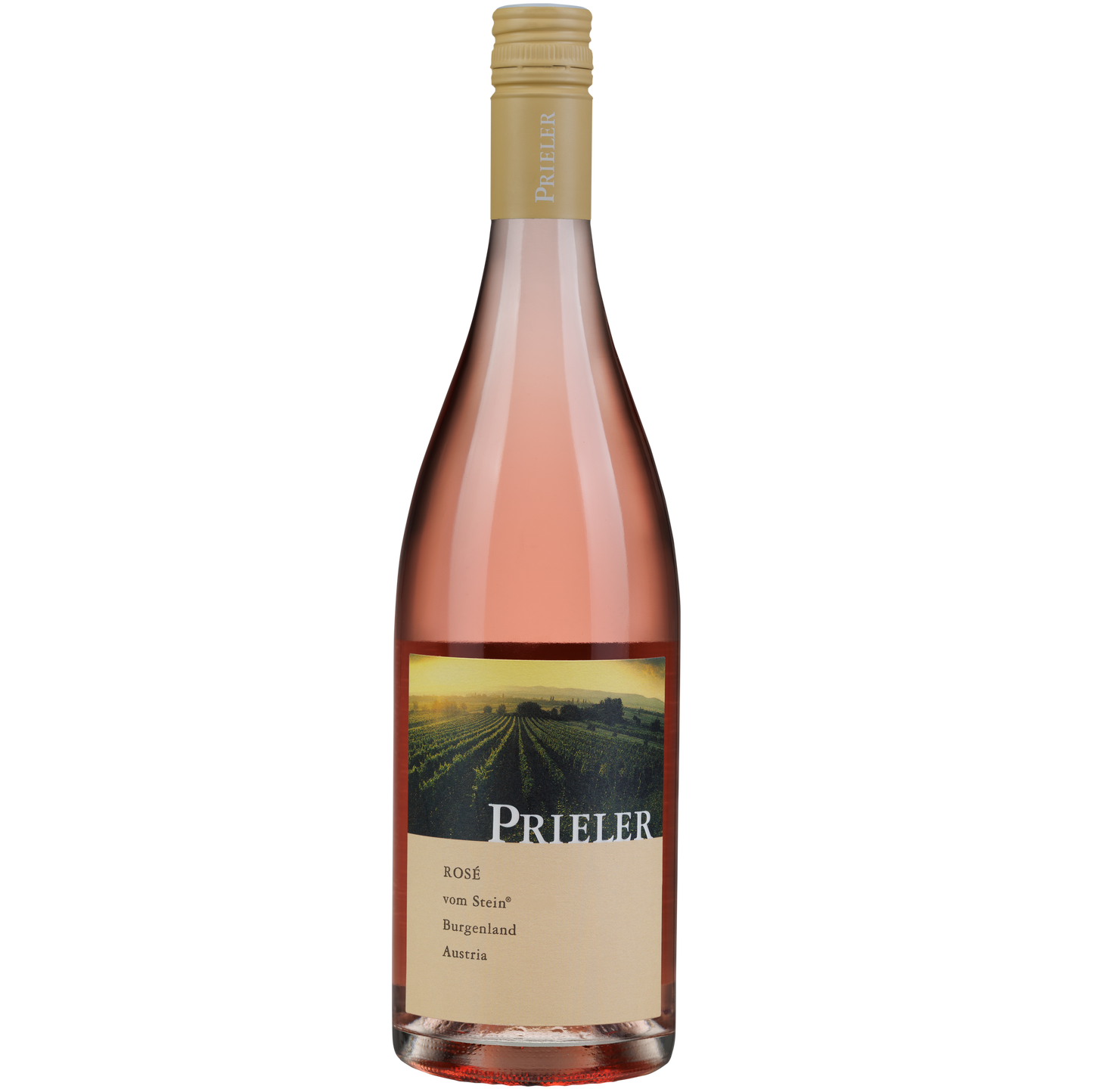ROSÉ vom Stein® 2025 BIO
